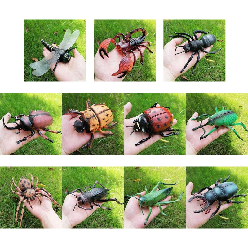 Đồ chơi mô hình côn trùng hoang dã thực tế dùng làm đạo cụ học tập cho bé
