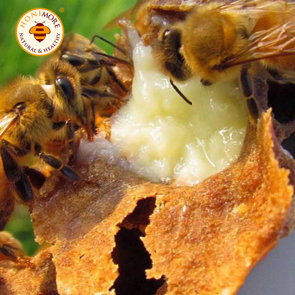 Sữa ong chúa tươi nguyên chất Honimore 300g - bồi bổ sức khoẻ, da căng mịn hồng hào
