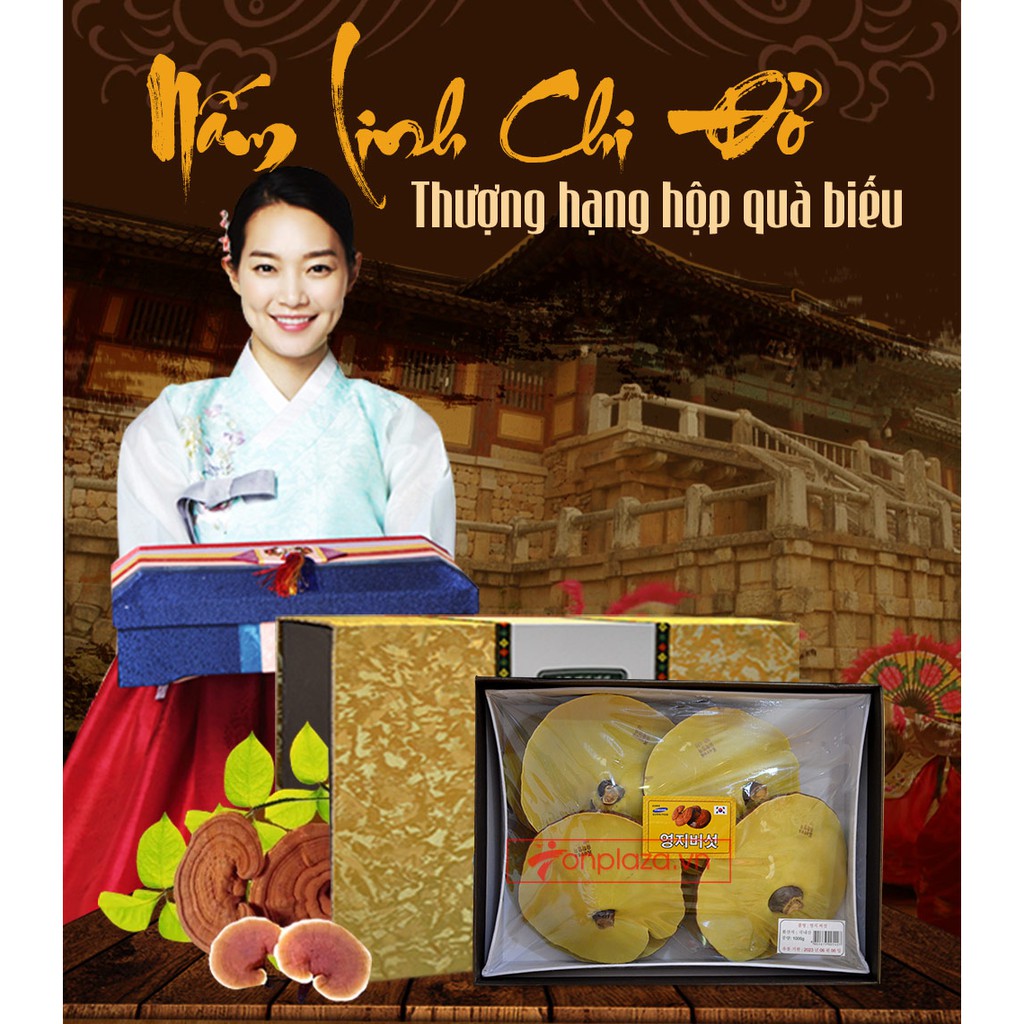 Nấm Linh Chi Uhak Hộp Quà Hàn Quốc, Hộp 1kg