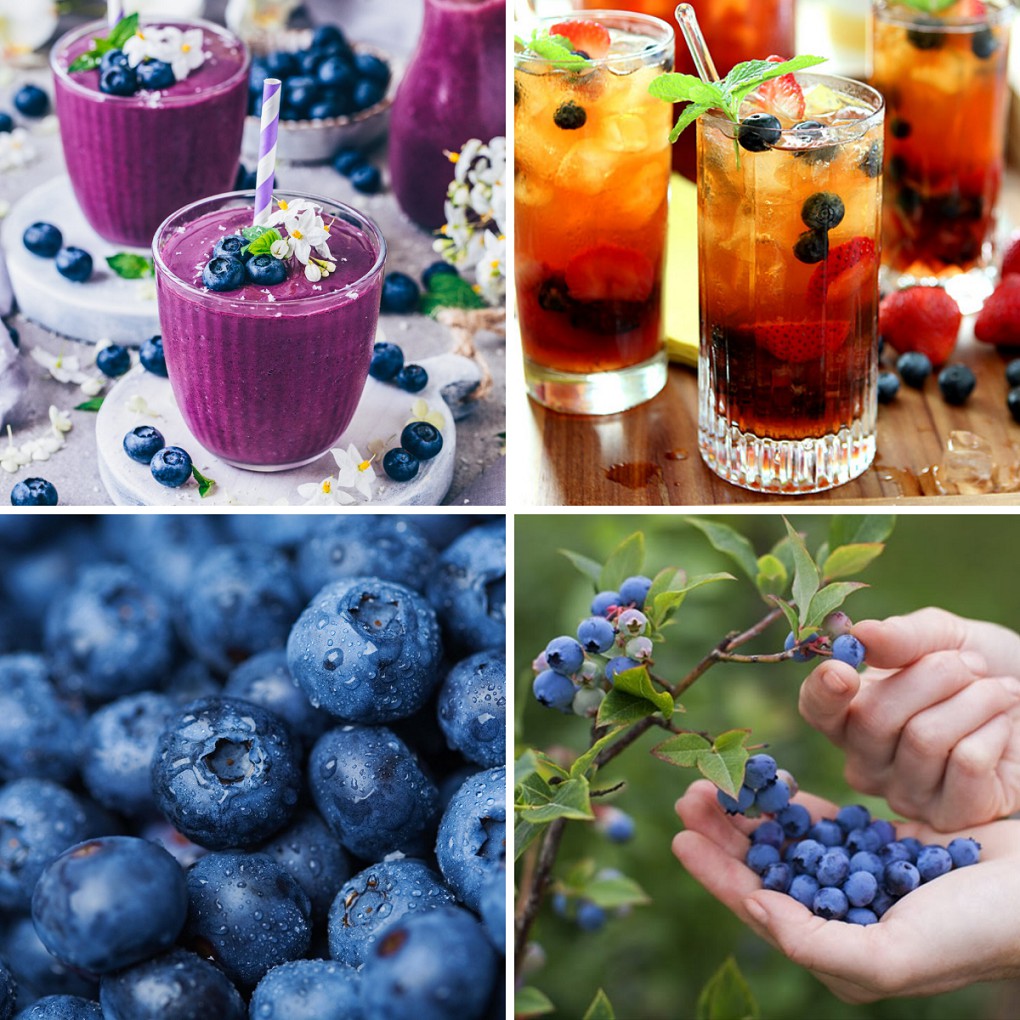 Smoothie Việt Quất Blueberry làm trà trái cây, đá xay, soda thay thế Sinh tố Syrup Siro Puree - JUPITER