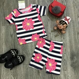 Combo bộ Carter