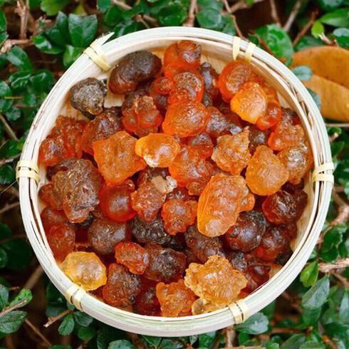 50g Đào Lệ Vân Nam- Hạt tròn, rời, không vụn