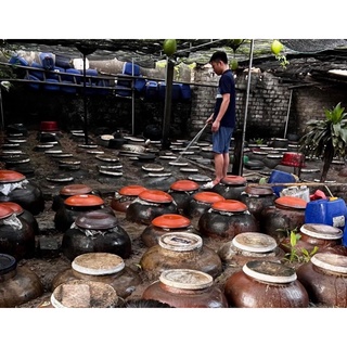 Cốt gừng nghệ hạt gấc