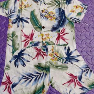 combo6 bộ lanh trái cây