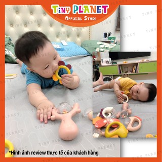 Bộ xúc xắc gặm nướu lục lạc Dumoon 6 & 10 chi tiết kèm hộp