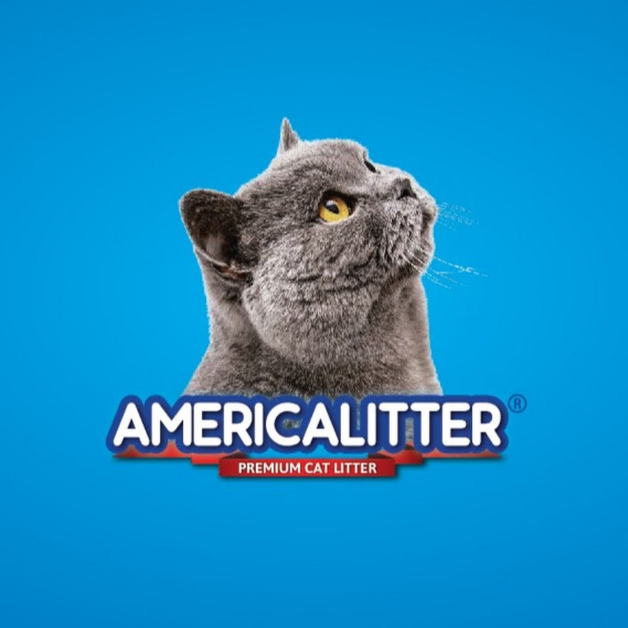 10L Cát vệ sinh America Litter cho mèo - cát đất sét siêu vón siêu khử mùi chống bụi American Garé Pet Shop