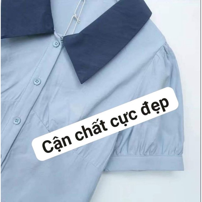 Áo sơ mi croptop nữ