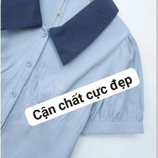 Áo sơ mi croptop nữ