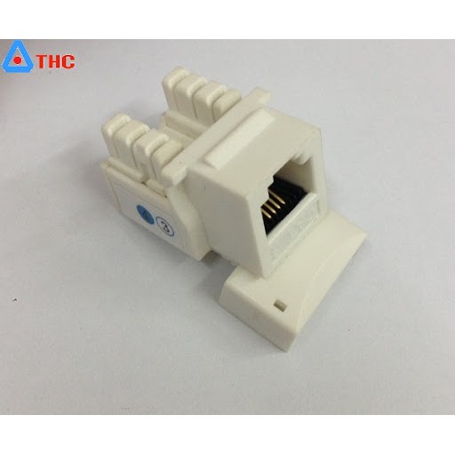 Hạt Điện THoại RJ11 Commscope