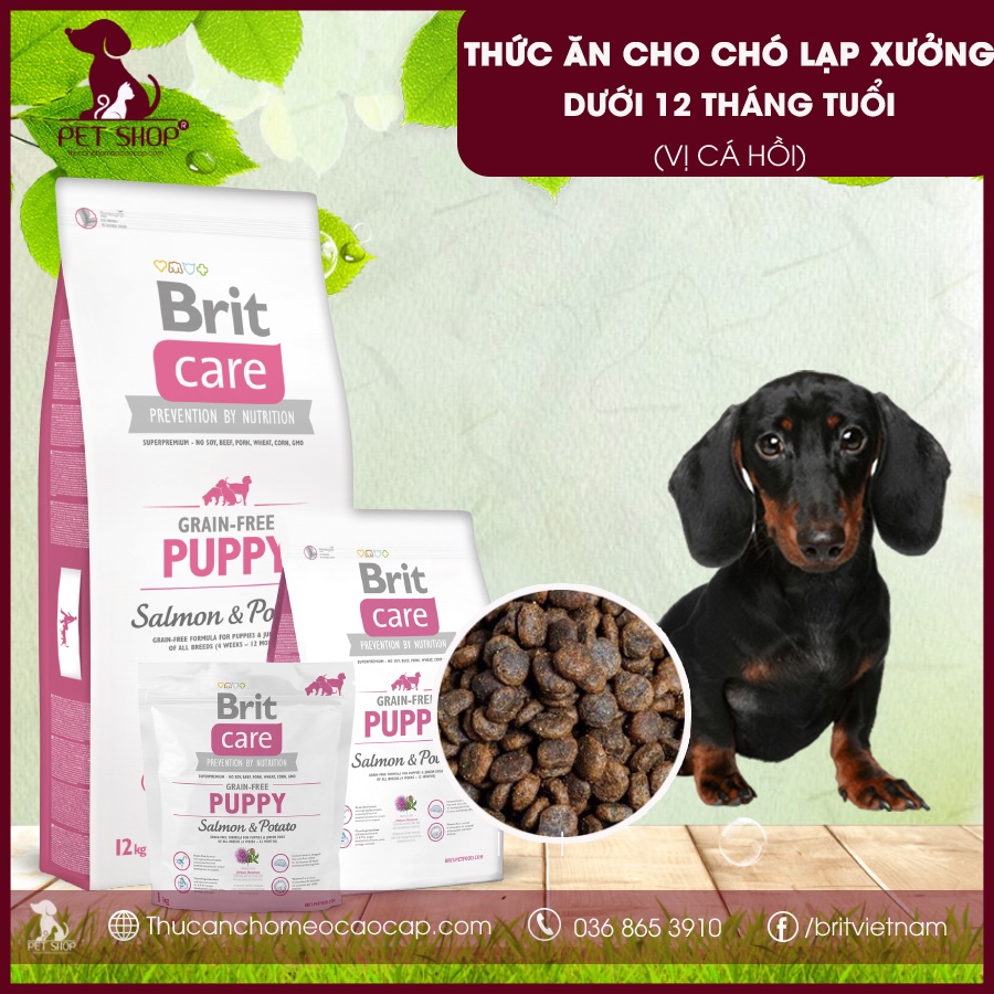 Thức Ăn Cho Chó Lạp Xưởng Dưới 12 Tháng Tuổi - Brit Care Grain-free Puppy Salmon & Potato Vị Cá Hồi