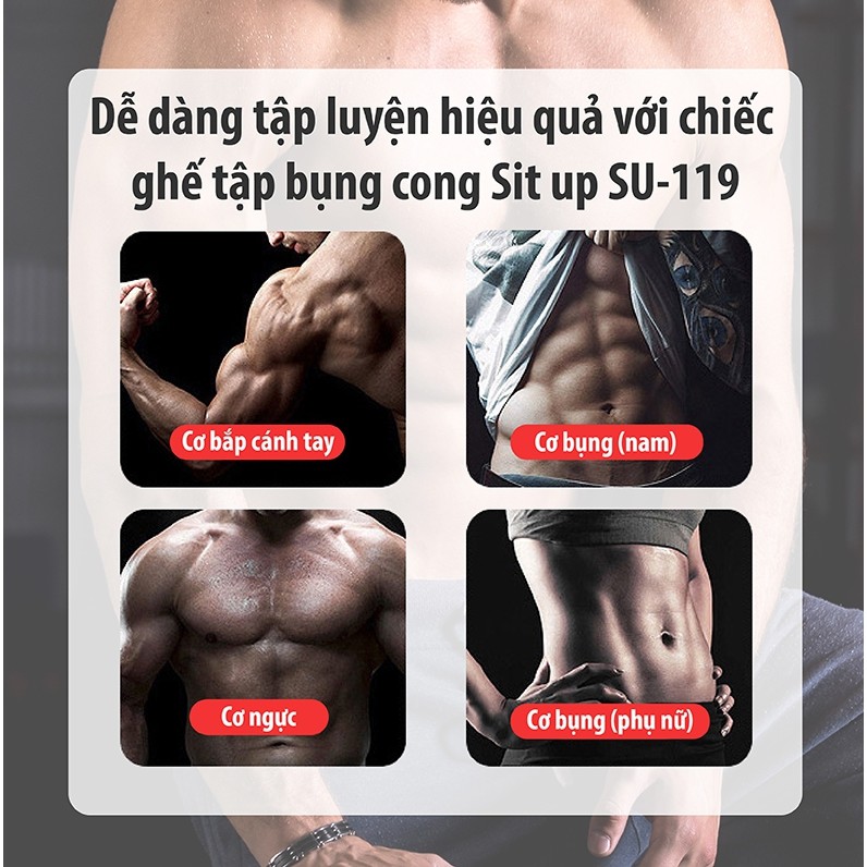 professionall.gym19 - Tổng hợp Máy tập, ghế tập cơ bụng toàn thân đa năng cao cấp, nhiều tiện ích ưa chuộng nhất