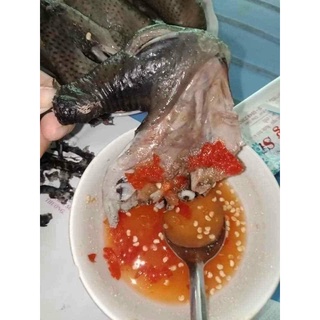 GÀ ÁC NGUYÊN CON 6-800gr/con (hoả tốc HCM)