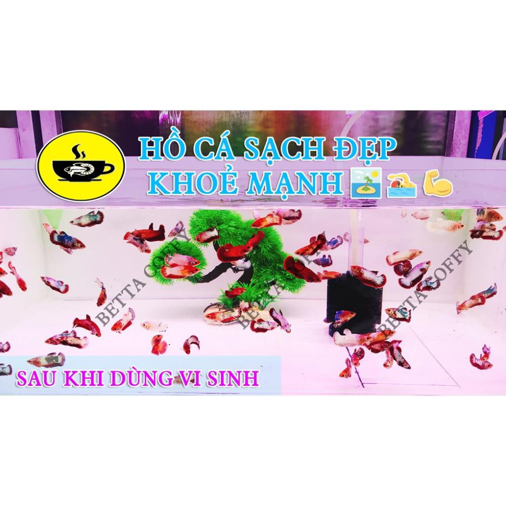 Sản Phẩm  đến từ Nuphar - Anti Bio  - BETTA COFFY ☕️