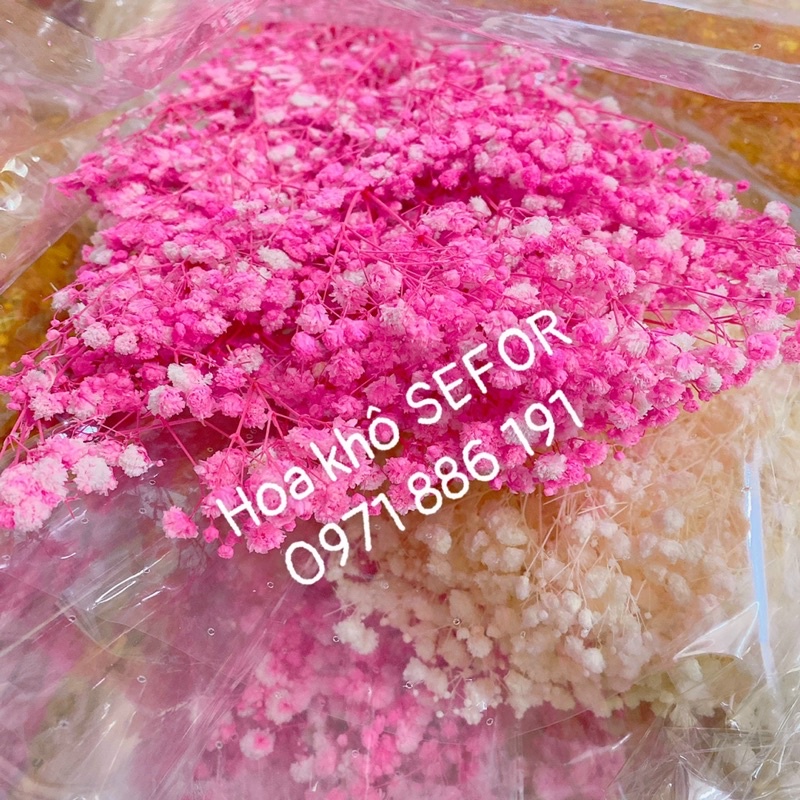 Hoa baby ướp xanh dương❤️FREESHIP❤️ Gypsophila hoa khô trang trí phòng ngủ, làm đồ handmade