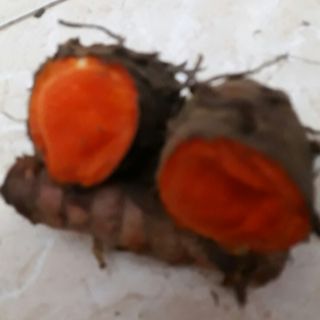 Tinh bột nghệ nếp nguyên chất (lọ 0,5 kg)