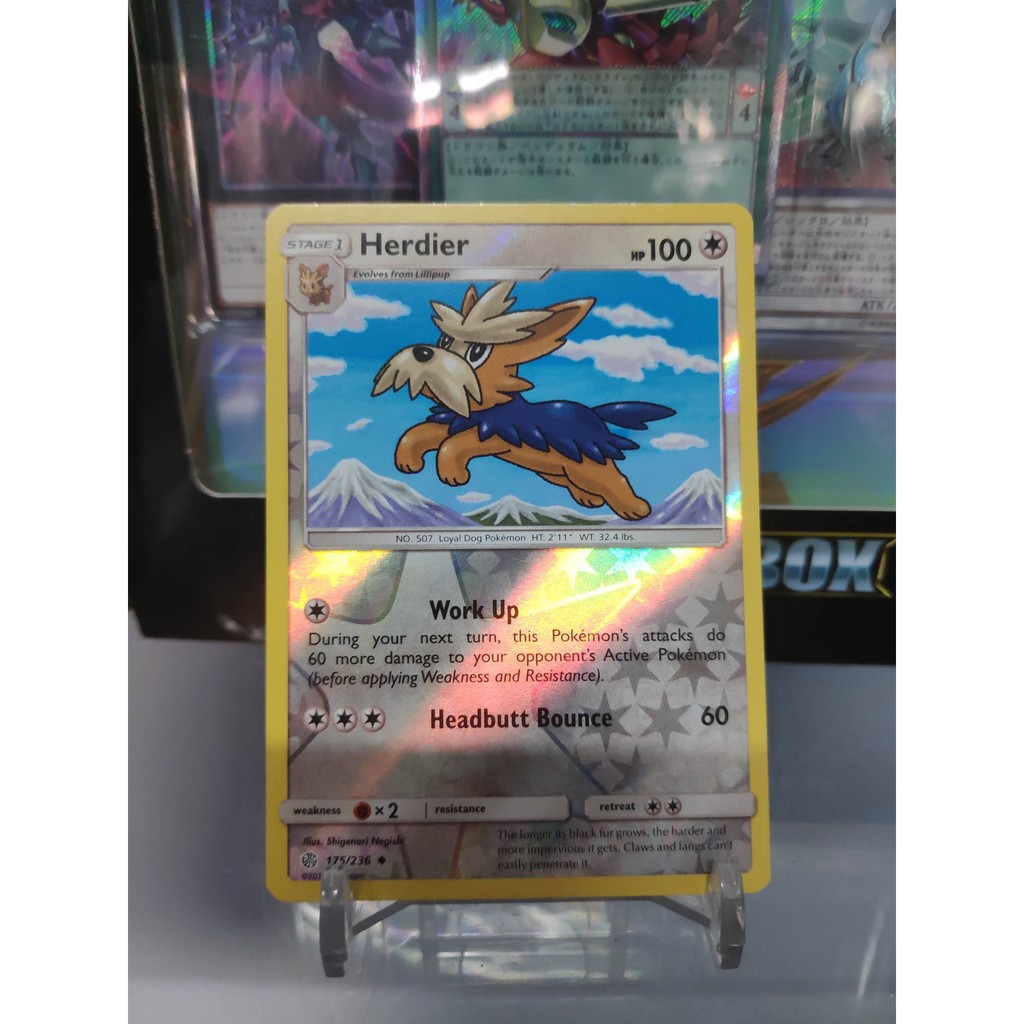 [ Dưa Hấu Yugioh ] Lá bài thẻ bài Pokemon Herdier