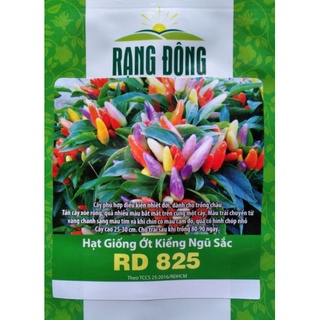 Hạt giống Ớt Kiểng Ngũ Sắc
