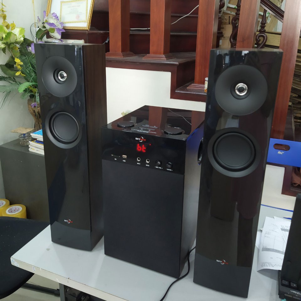Loa tivi, loa vi tính để nghe nhạc, hát karaoke Skynew SKN-325 vân gỗ, tích hợp bluetooth hát karaoke, tặng mic hát kok