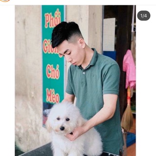Cây đánh trứng