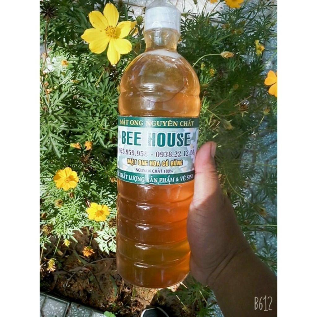 Mật Ong Hoa Cỏ Rừng Bee House