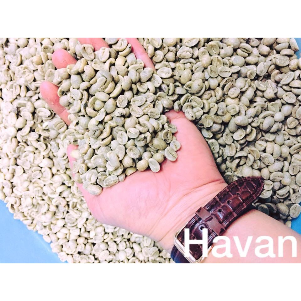 5KG CÀ PHÊ NHÂN ARABICA ĐỀU, ĐẸP