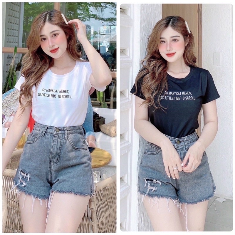 ÁO THUN THÁI BOZIP CỔ TRÒN ÔM BODY( loại 1)