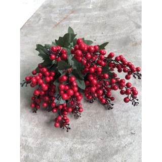 cherry chùm 7 nhánh