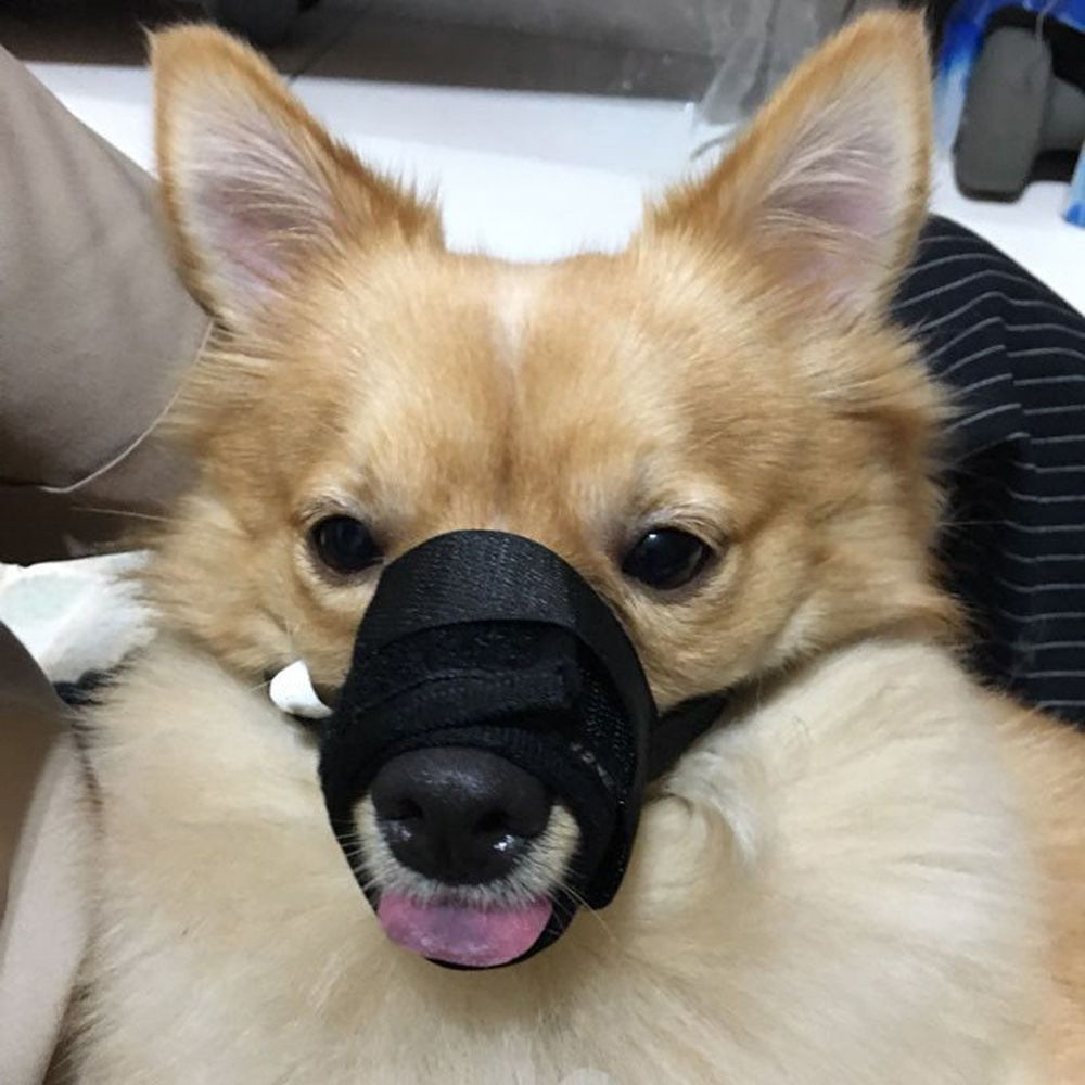 GIOVANNI Adjustable Accessories Mesh Mask Grooming Training Products Anti Chewing Nylon Dog Muzzle Stop Bite Barking Pet Safety
