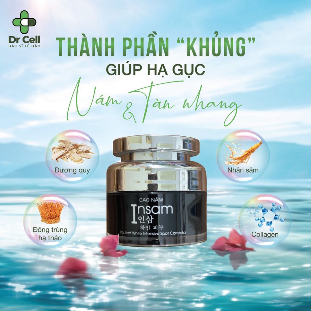 Cao Nám Insam Dr Cell, Kem Nám Hiệu Quả Giúp Làm Mờ Thâm Nám Da, Sạm Da, Tàn Nhang, Chông Lõa Hóa Da, 20ml Chính Hãng | BigBuy360 - bigbuy360.vn