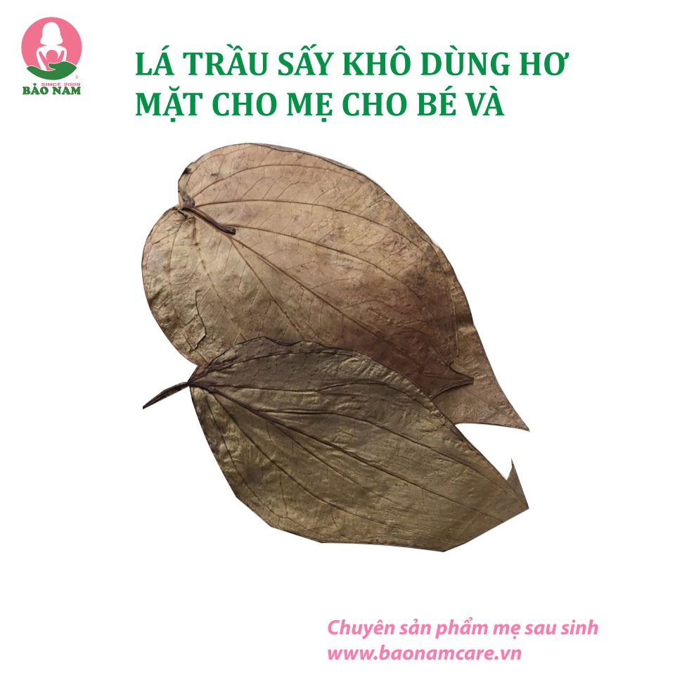 Lá trầu không dạng bột hay lá nguyên chất