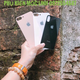 Cường lực tráng gương 6D cao cấp dán mặt sau lưng dành cho iphone 6 6Plus 7 8 X Xs