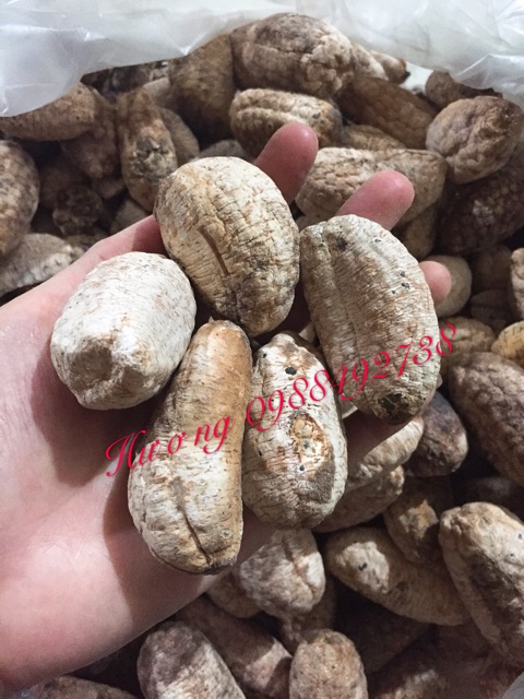 Chuối hột rừng quả chín 1kg - phơi sạch thơm ngon | BigBuy360 - bigbuy360.vn