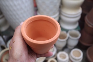 Chậu đất nung trồng cây
