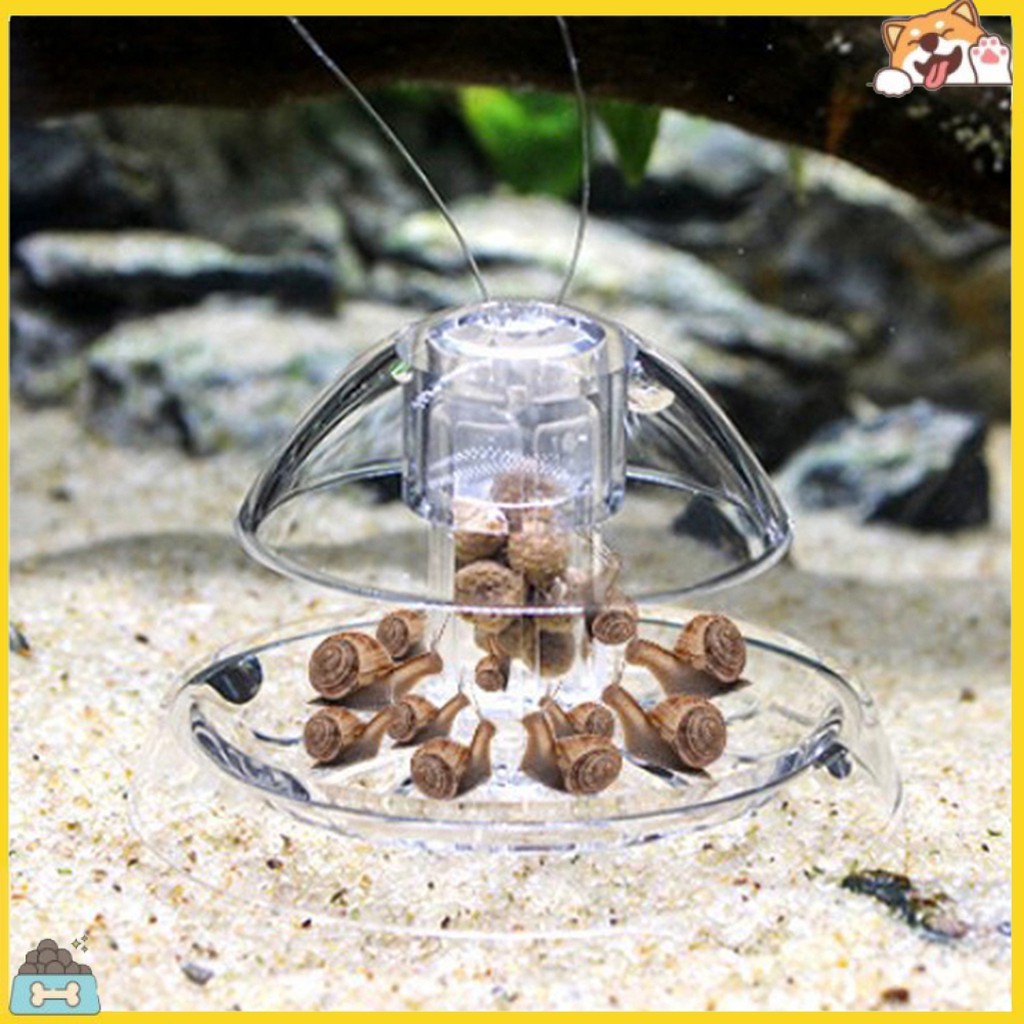Bẫy ốc sên bằng nhựa trong suốt bảo vệ bể cá