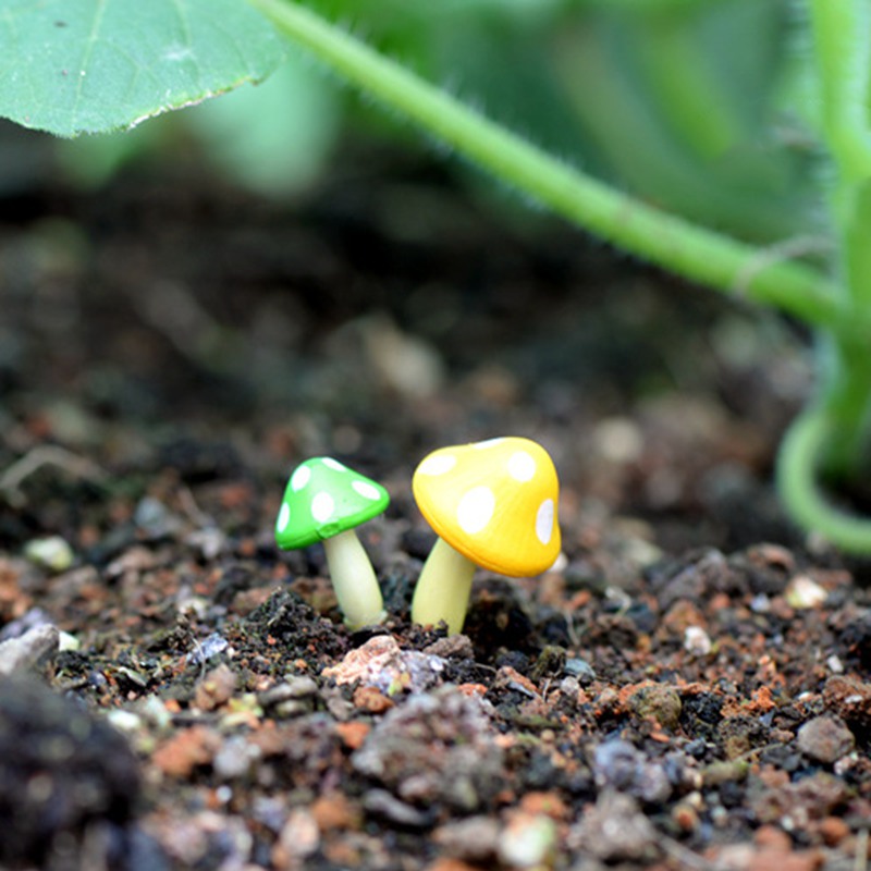 3 mô hình cây nấm nhỏ xinh trang trí sân vườn