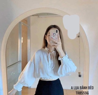 Áo sơmi lụa bánh bèo dài tay - TR