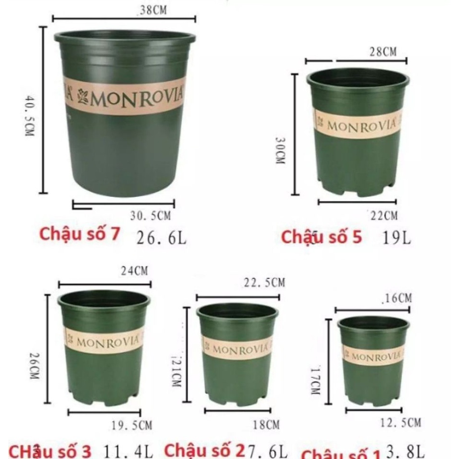 CHẬU NHỰA TRỒNG CÂY MONROVIA ĐỦ SIZE