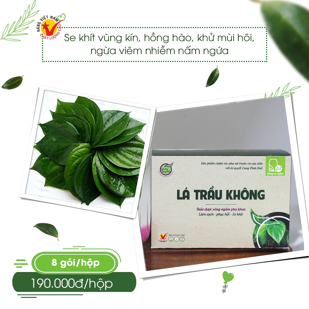 Lá trầu không bảo nhiên 100% tự nhiên, không chất bảo quản.