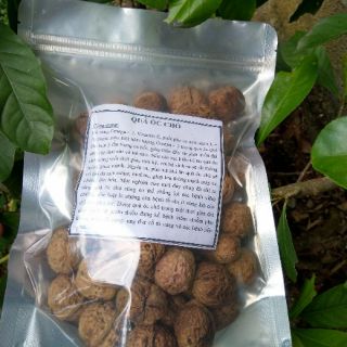 [KETO]NHÂN ÓC CHÓ - 500G