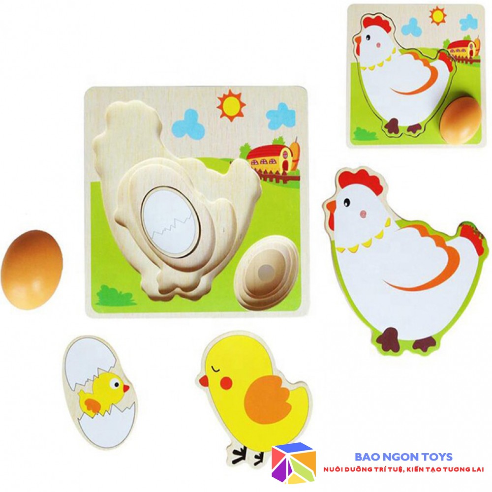 ĐỒ CHƠI XẾP HÌNH QUÁ TRÌNH LỚN LÊN CỦA CHÚ GÀ – BAO NGON TOYS