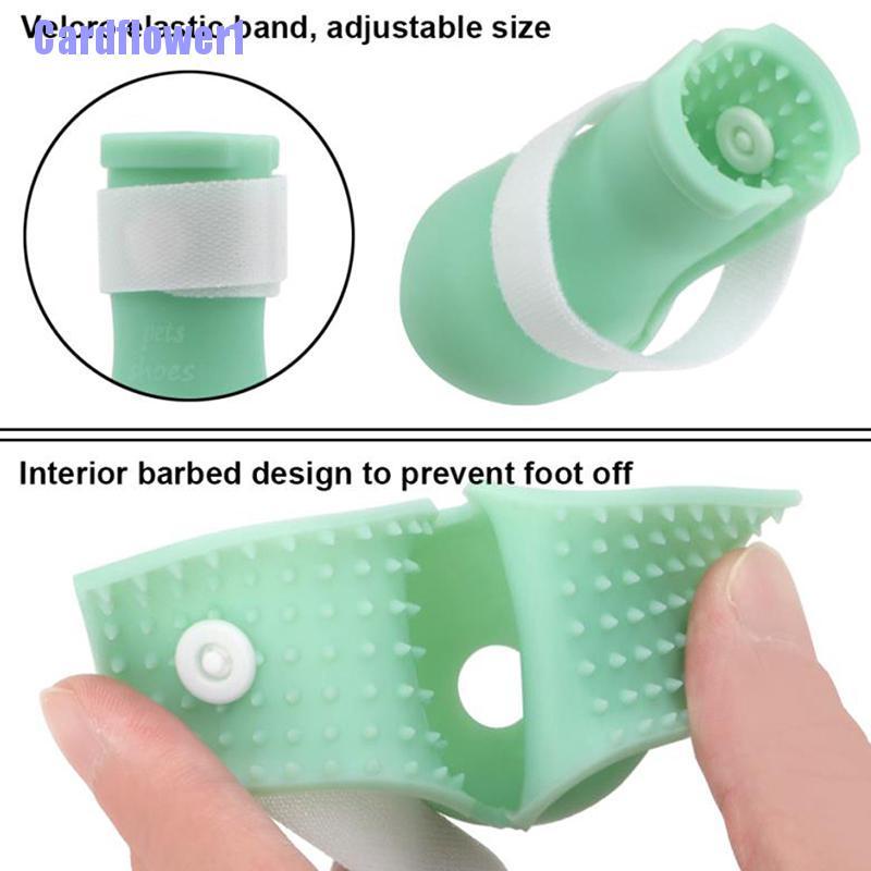 Móng Tay Mèo Thuận Tiện Khi