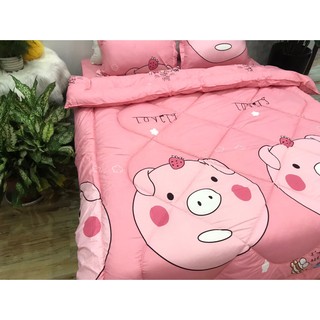 Ruột chăn hơi siêu nhẹ ấm áp