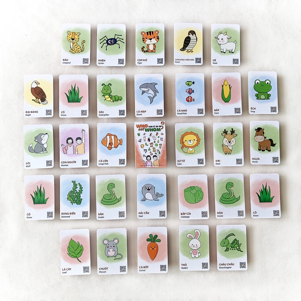 BỘ THẺ HÌNH FLASHCARD SONG NGỮ “WHO EAT WHOM?” - “CON GÌ ĂN GÌ?”