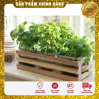 Hạt Giống Rau Thơm Xả (É Trắng) Ngon -0,5gr