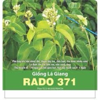 Hạt giống lá giang 371