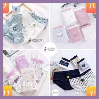SET 5 QUẦN LÓT COTTON VANVENE