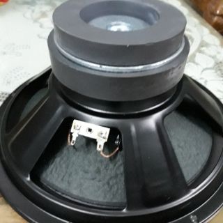 Loa bass 25