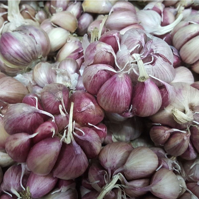 Tỏi tím tép to thơm