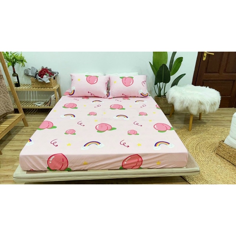 [GIÁ SIÊU SỐC] Bộ 3 Món Chăn Ga Gối Cotton Poly (Được chọn mẫu, Nhiều kích cỡ)