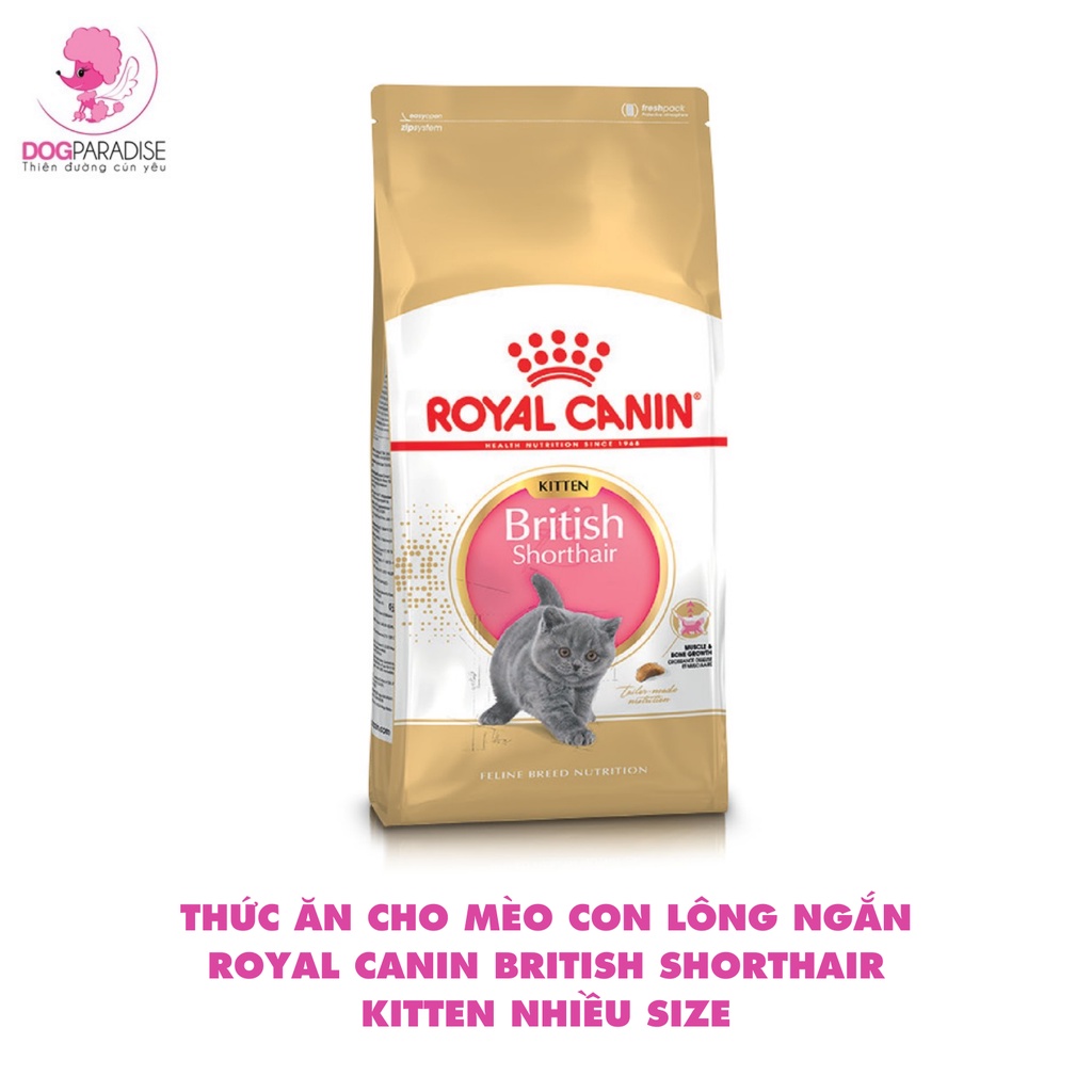 Thức ăn cho mèo con lông ngắn Royal Canin British Shorthair Kitten nhiều size tăng cường sức khỏe - Dog Paradise